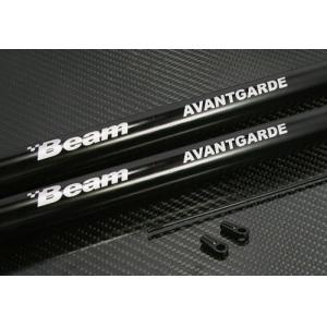 Avantgarde Tail Boom (Boom 2pcs + rod) 