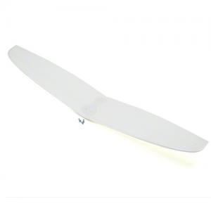 [�����ǰ]E-flite Wing 