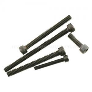 Team Losi Transmission Screw Set (XXX-SCB/XXX-SCT/XXX-T) 
