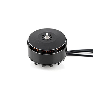 [TR] F5215-250KV MR-Type BL Motor(20~22in) for AG Drone 6S 22.2V