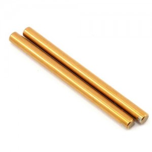 [TLR Racing] Team Losi Racing Rear Inner Hingepin Set (2) (TLR 22) 