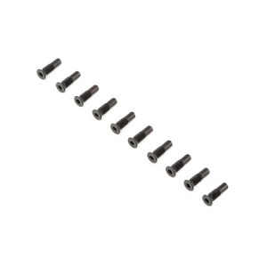 [TEAM LOSI] Hinge Pin Screw,FR (10):Rock Rey 