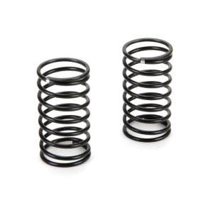 [TEAM LOSI] Spring, Medium (2): �ƿ�� R8 ������ �� 