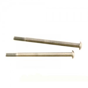[TEAM LOSI] Hinge Pin Studs (2) - 8B/8T 