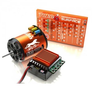 [SKY RC] Cheetah 1/10 60A Sensored Combo 4000KV/8.5T (������ 1:10 �޺���, ���ڽ���ġ, ������ Ÿ��) 