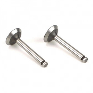Saito Valve In/Out (Pair) for FA-30, FA-40, FA-90R3, FA-120R3, FG-19R3 