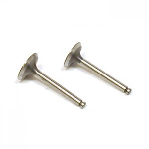 Saito Valve (in & out) for FA-100, FG-17 