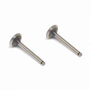Saito Valve (in & out) for FA-62, FA-72 