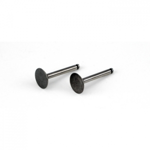 Saito Valve (in & out) for FA-62, FA200R3, FG11, FG-33R3 