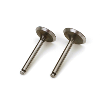 [���ܼ�] SAI125A46 Saito Valve (In & Out) for FA-125