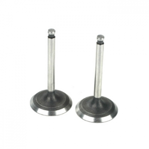 Saito Valve (In & Out) for FA-220 