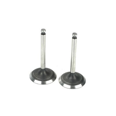 [���ܼ�] SAIG3646 [Saito] Valve (in & out) for FG-36, FG-40