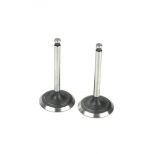 [Saito] Valve (in & out) for FG-36, FG-40 