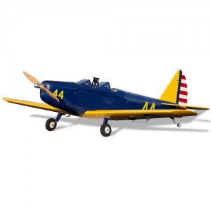[Hangar9] 1435mm Fun Scale PT-19 PNP (����, ���ӱ�, ���� ����) 