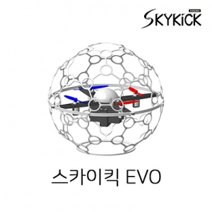 ��ī��ű EVO ���ҳ�� ����౸�� 