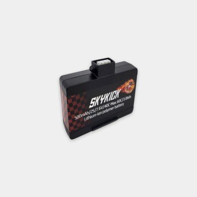 [���ܼ�]  ��ī��ű EVO 500mAh ���͸�