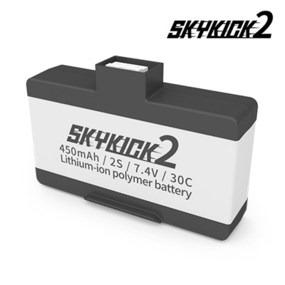 [���ܼ�]  ��ī��ű2 450mAh ���͸�