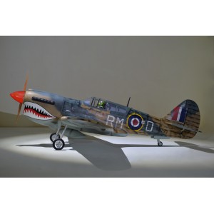 [Phoenix] 2040mm P40 WARHAWK GP/EP 35-55CC SCALE 18% ARF 