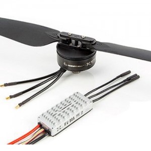 [HOBBYWING] �Ϻ��� Xrotor6 �޺� (6215 ���� 2388 ���� / CCW / G2) - ��ũ���� 