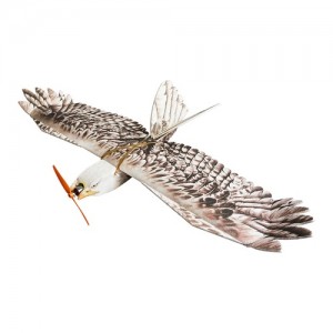 [DWHOBBY] 1430mm EPP Eagle Airplane KIT 