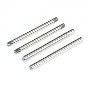 [TLR Racing] Rear Hinge Pin Set, Polished: All 22 