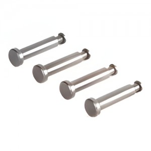 [TLR Racing] Front King Pins, TiCN (4): All SCTE 