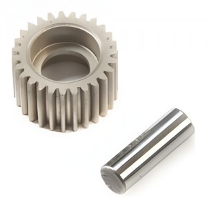 [TEAM LOSI] Idler Gear & Shaft: 22S 
