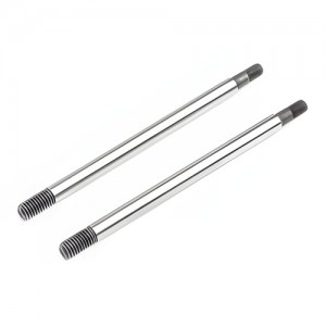 [TEAM LOSI] Shock Shaft, Fr (2): SuperRockRey 