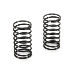 [TEAM LOSI] Spring, Medium (2): �ƿ�� R8 ������ �� 
