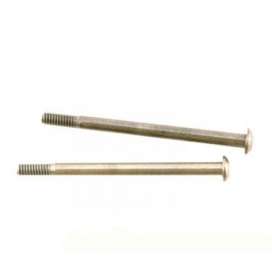[TEAM LOSI] Hinge Pin Studs (2) - 8B/8T 