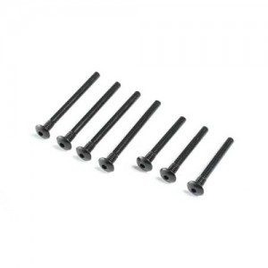 [TEAM LOSI] Inner Outer Hinge Pin Screw Set V100 