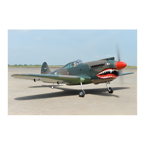[���ܼ�]  Black Horse P-40C Tomahawk 60cc (2275mm)