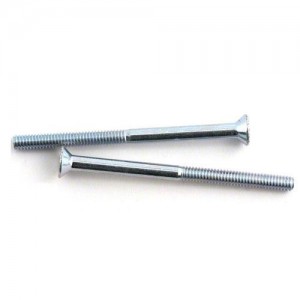Team Losi 5-40x1�� Flat Head Screws (2) 