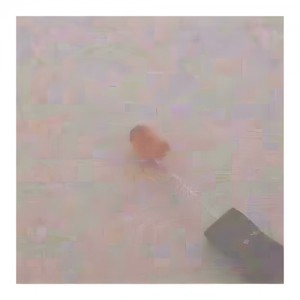 5���� ����Ÿ�� ������ ���ֵ� LED - RED (����) 1�� 