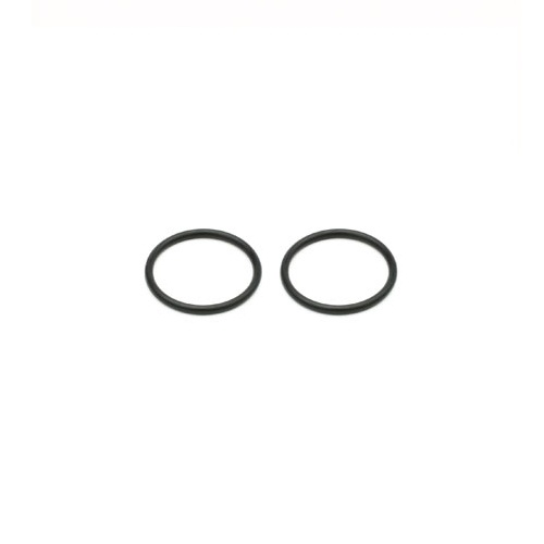 [���ܼ�] DYNE0543 [Dynamite] Backplate O-ring (2): .31(������ǰ)