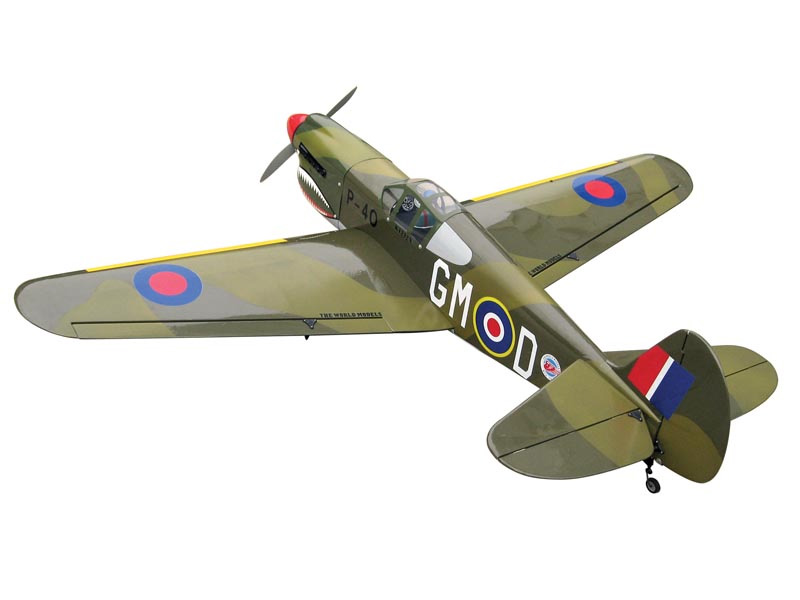 [ܼ]  [WORLD MODEL] 1450mm P-40 Warhawk ARF Kit