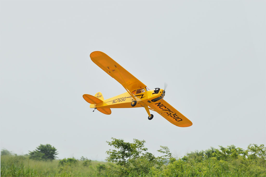 [���ܼ�]  Black Horse Piper Cub 50�� (1950mm)