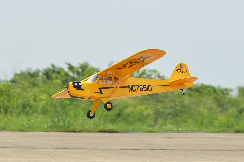 [���ܼ�]  Black Horse Piper Cub 50�� (1950mm)