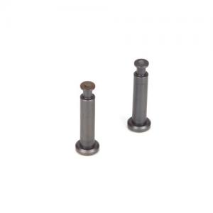 Hinge Pins, 4 x 21mm, TiCn (2): 8B 3.0 