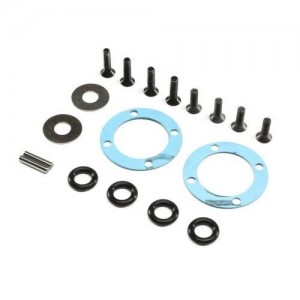 [TLR Racing] Diff Seal & Hardware Set: 22X-4 
