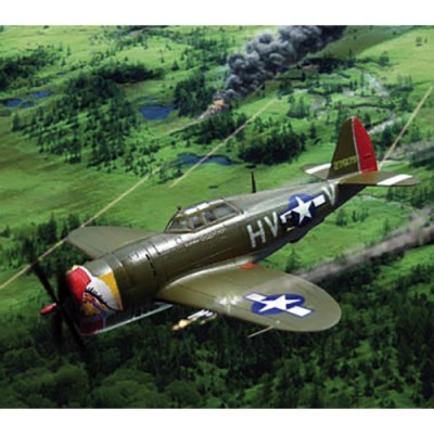 [ܼ] BPPD-14 [PLATZ] BPPD-14 1/144 P-47D Thunderbolt Razorback(2 Kits in A BOX)