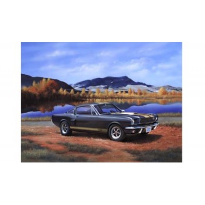 [ܼ] BV7242 [Revell Gmbh] BV7242 1/24 Shelby Mustang GT350 H