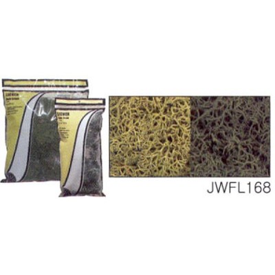 [ܼ] JWL168 [Woodland scenics] JWL168 õ: ȥʷ / Lichen