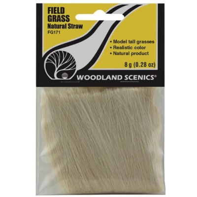 [ܼ] JWFG171 [Woodland scenics] JWFG171 Ǯ: 