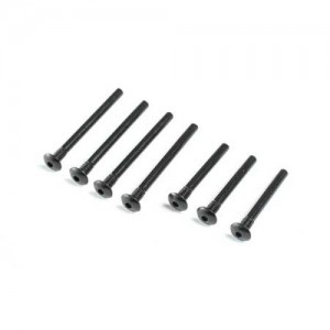 [TEAM LOSI] Inner Outer Hinge Pin Screw Set V100 
