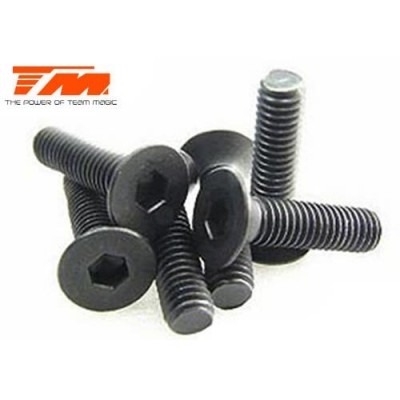 [ܼ] 126314 [TEAM MAGIC] 3x14mm Steel FH Screw (6)