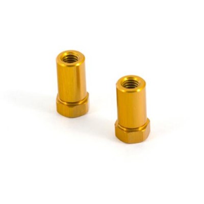 [ܼ] TD340075 [TEAM DURANGO] STEERING POST (2PCS)