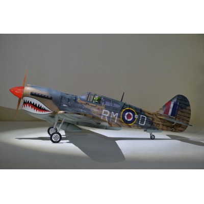 [ܼ]  [Phoenix] 2040mm P40 WARHAWK GP/EP 35-55CC SCALE 18% ARF
