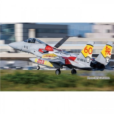 [ܼ] BPAC-93 [PLATZ] BPAC-93 1/72 JASDF F-15J Eagle 203rd Squadron 60th Anniversary Painting