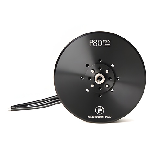 [���ܼ�]  [T-MOTOR] Ƽ���� P80 120KV �귯������ ����